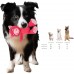 5 Pack Squeaky Plush Toys Assortment Value Bundle Puppy Pet Mutt Squeak Toy for Medium Large Dogs Made Tough for Aggressive Chewers 5 Pack Squeaky Plush Toys Assortment Value Bundle Puppy Pet Mutt Squeak Toy for Medium Large Dogs Made Tough for Aggressive Chewers