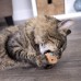 Chickadee Chirp Electronic Sound Cat Toy, Contains Catnip, Battery Powered - Light Brown, One Size Chickadee Chirp Electronic Sound Cat Toy, Contains Catnip, Battery Powered - Light Brown, One Size